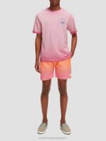άνδρες T-shirt με κρύα έργα τέχνης κερασόχρωμος 0J8D377 είδη ένδυσης Scotch & Soda - Image 2